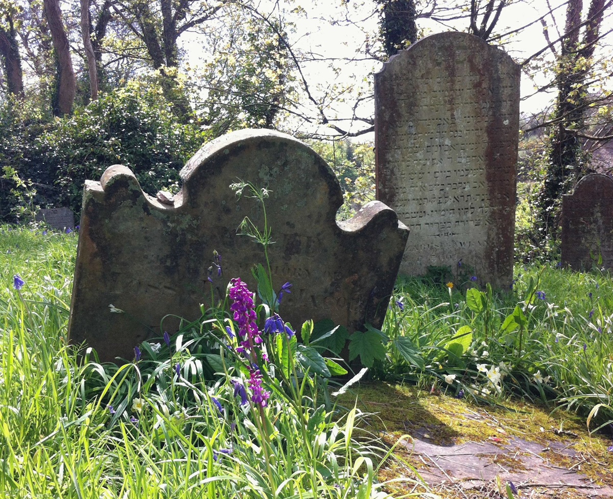 Falmouth Cemetery Spring 2014 Robert Nunn