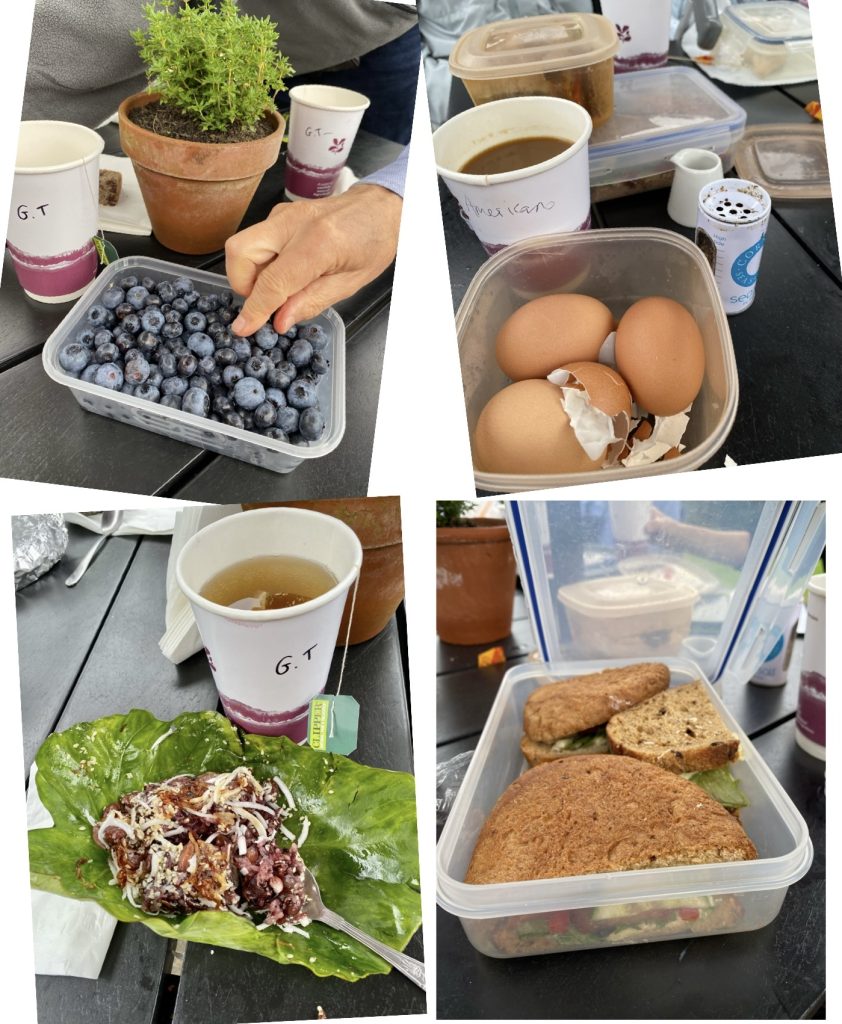 Picnic Food Collage 2023