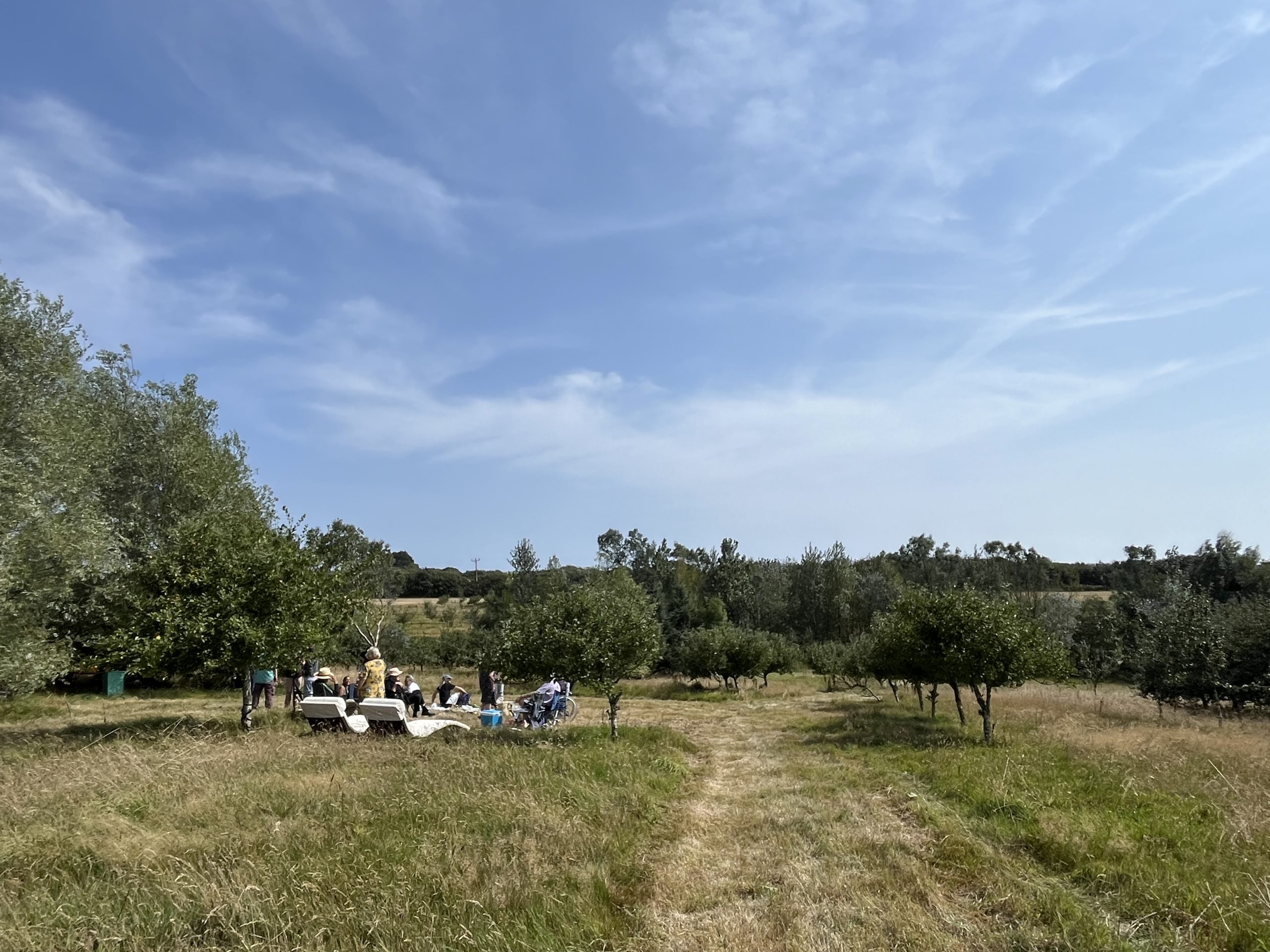 Featured image for “Picnic at Trenderway Farm”