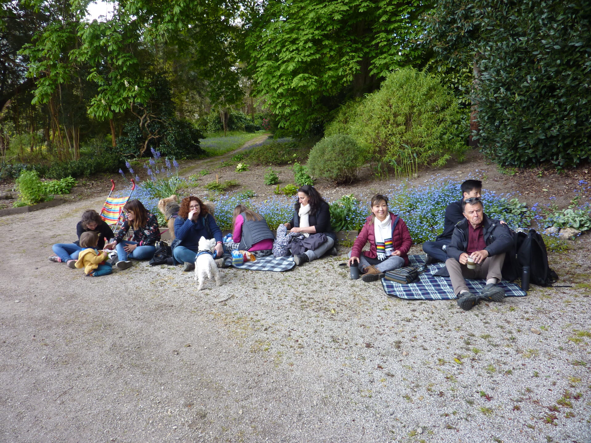 Featured image for “Kehillat Kernow Members reunited among the Bluebells”