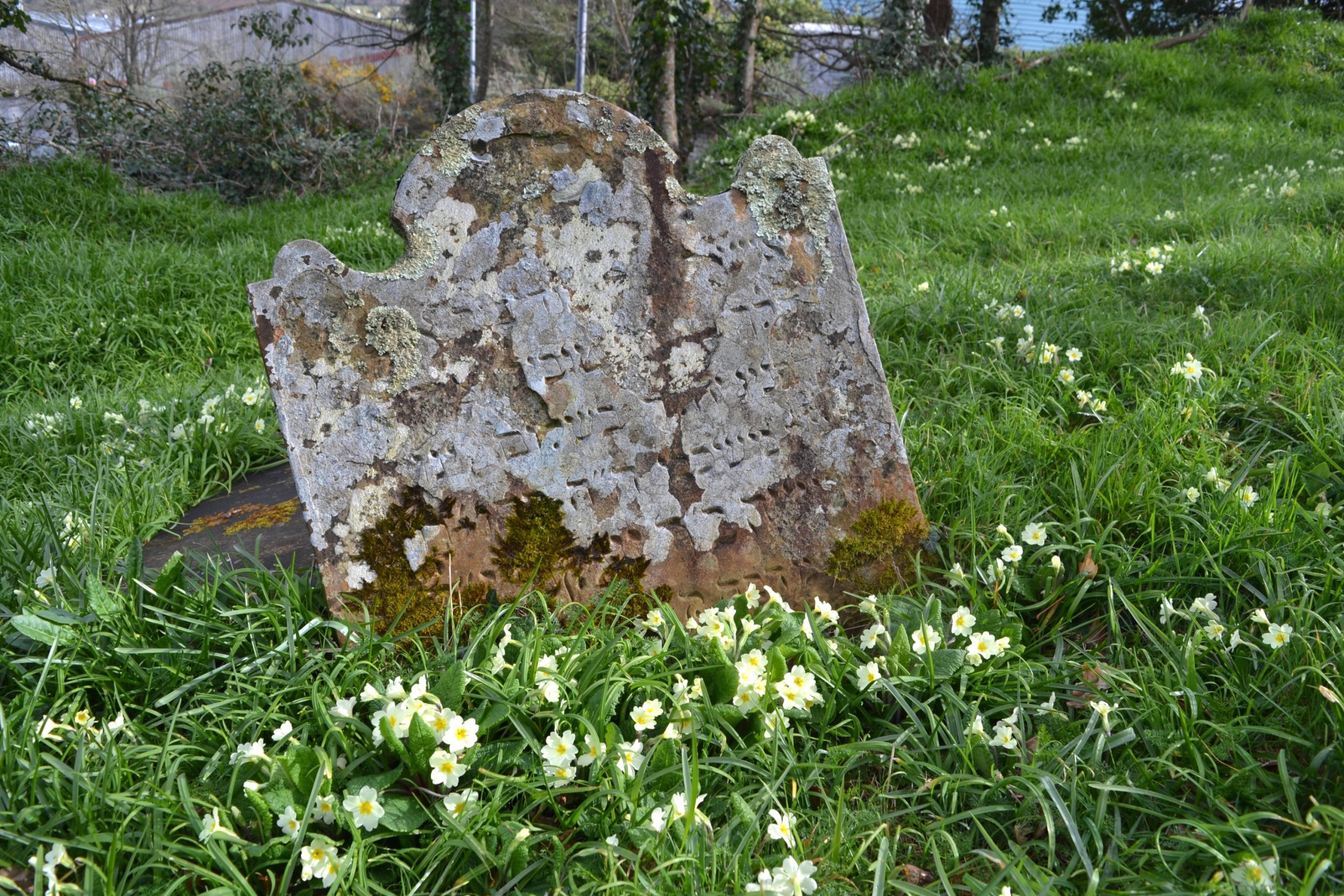 A headstone in the Jewish cemetery. The inscription is in deteriorating condition. APJ.